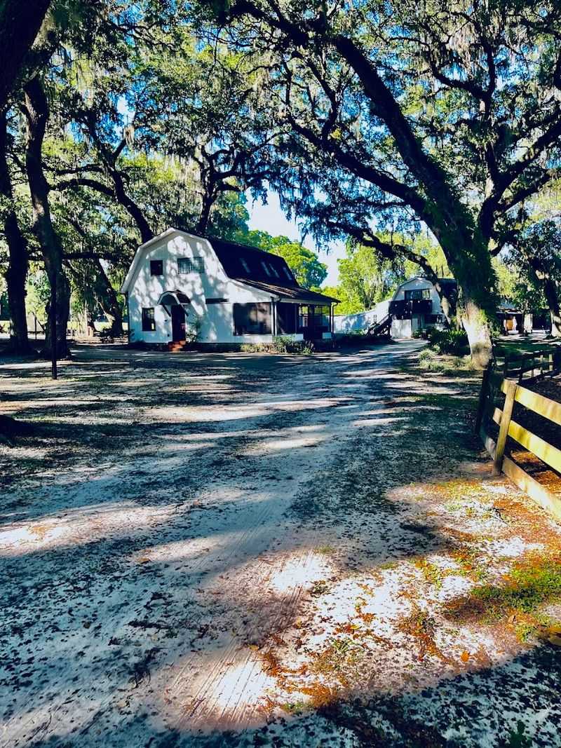 Finding the Farm: Location and First Impressions