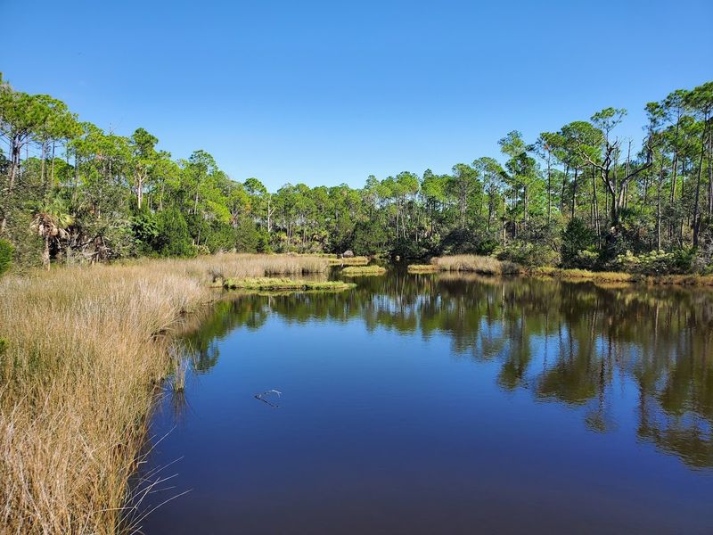 Where Exactly You Will Find This Hidden Campground