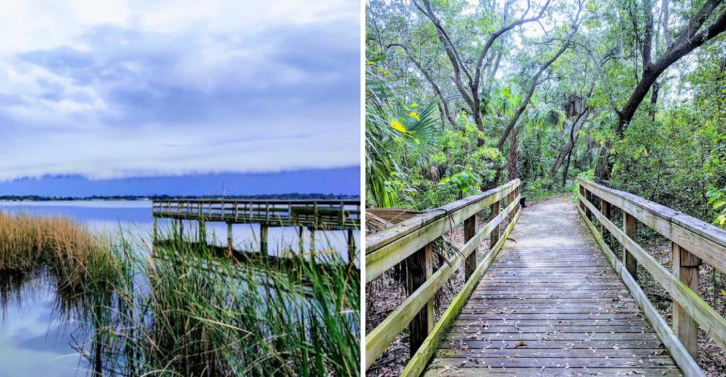This Peaceful Nature Preserve in St. Petersburg Is a Hidden Paradise for Wildlife Lovers