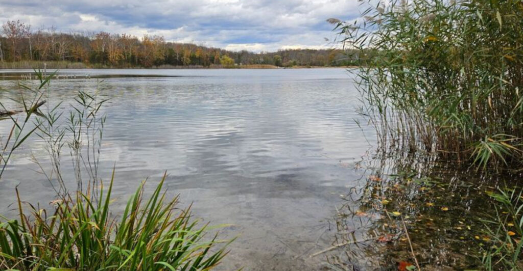 This Peaceful New Jersey Spot Is Perfect If You Want To Escape The Crowds
