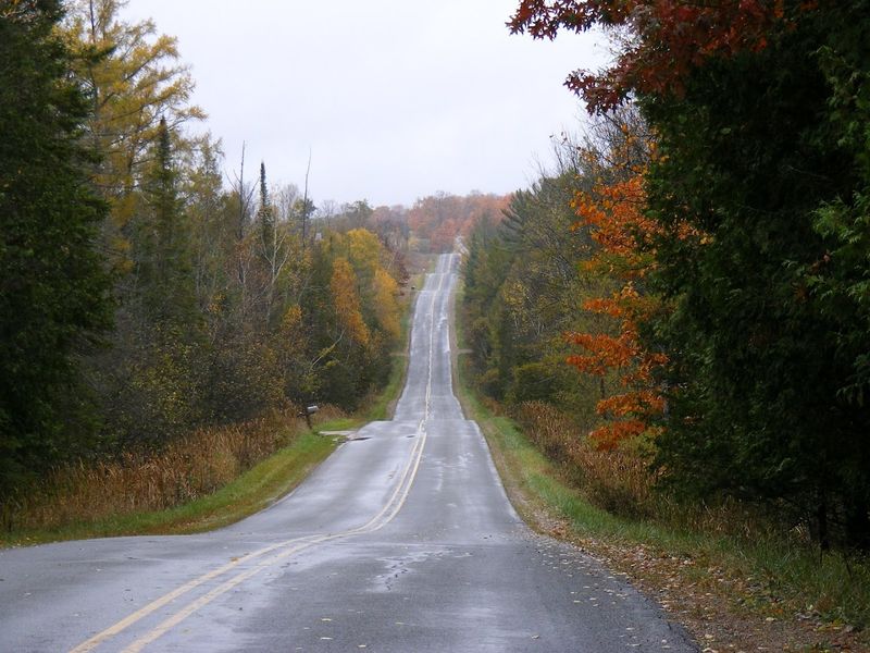 Where Rose City Sits and Why That Matters