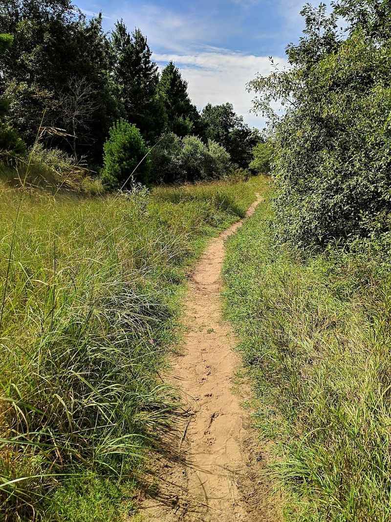 Where This Hidden Trailhead Actually Starts