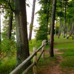 This Quiet Nature Area Features Scenic Trails That Lead Straight to Lake Michigan Beaches