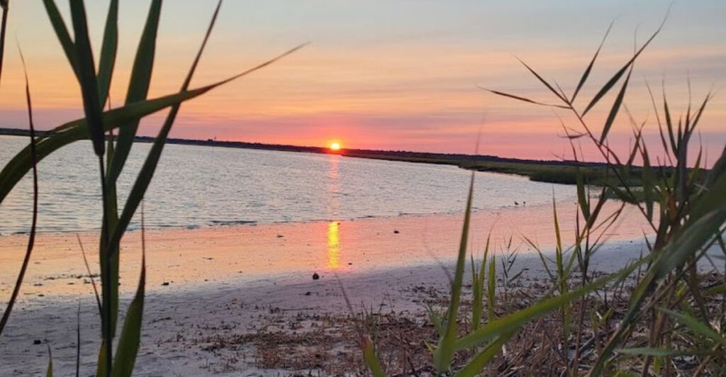 This Quiet New Jersey State Park Is the Perfect Spot to Leave the Noise Behind