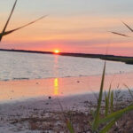 This Quiet New Jersey State Park Is the Perfect Spot to Leave the Noise Behind