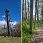 This Quiet New Jersey Wildlife Preserve Is a Dream for Curious Explorers