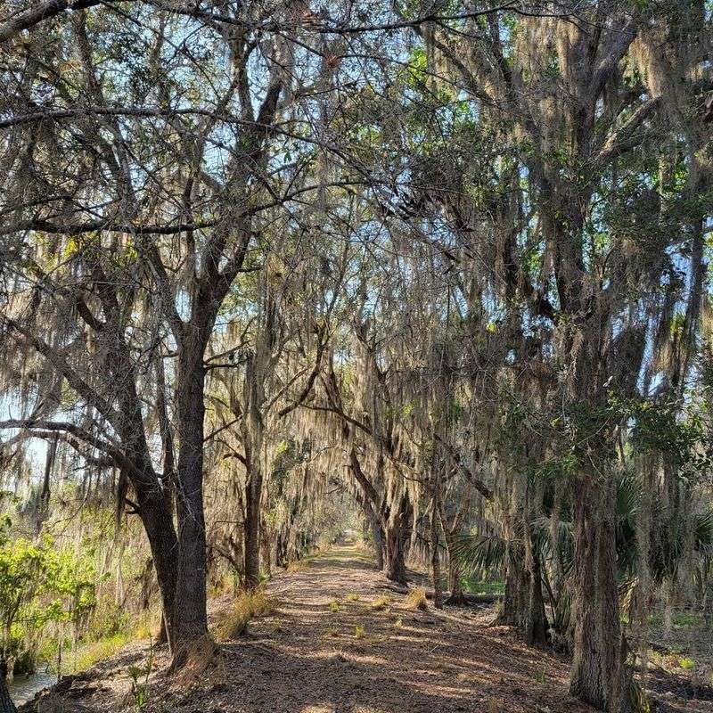 Finding the Place: Location and Access