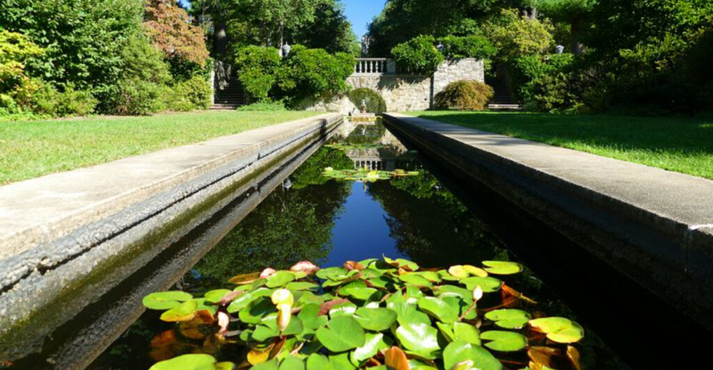 This Ringwood Hidden Gem Feels Like a Trip to Provence