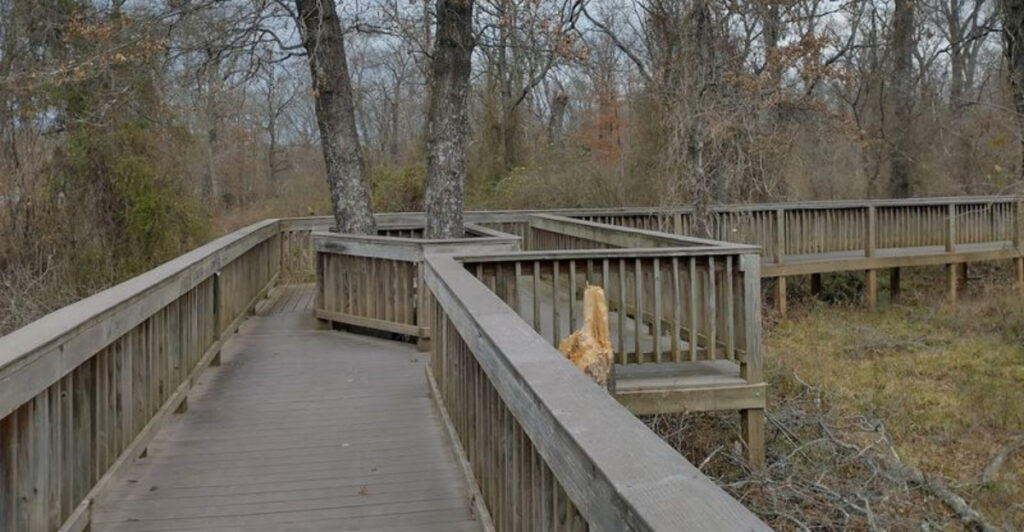 This Scenic Boardwalk Trail Might Be Oklahoma’s Best Hidden Nature Spot
