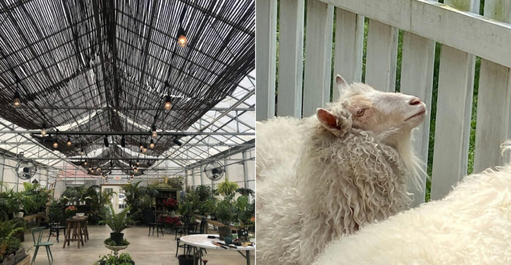 This Scenic Farm Market and Garden Stop Is One of Howell’s Most Delightful Surprises