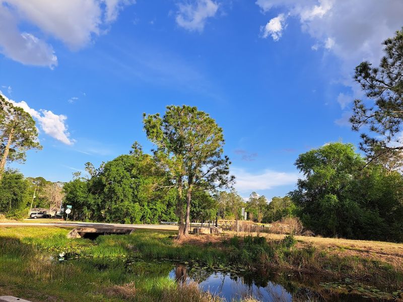 Welcome to Sun N' Lake: Address, Location, and First Impressions