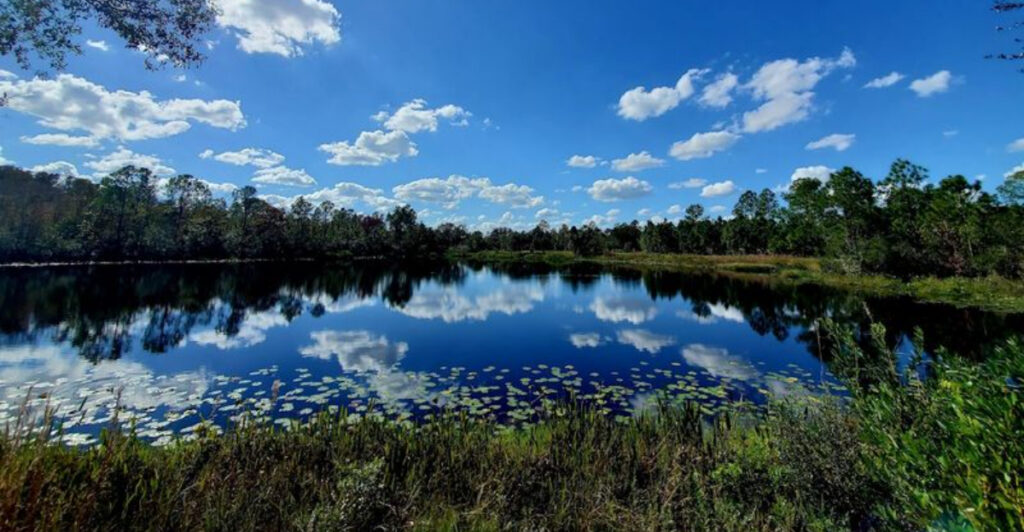 This Sebring Community Is a Hidden Gem for Lakeside Living, Golf Views, and Peaceful Florida Charm