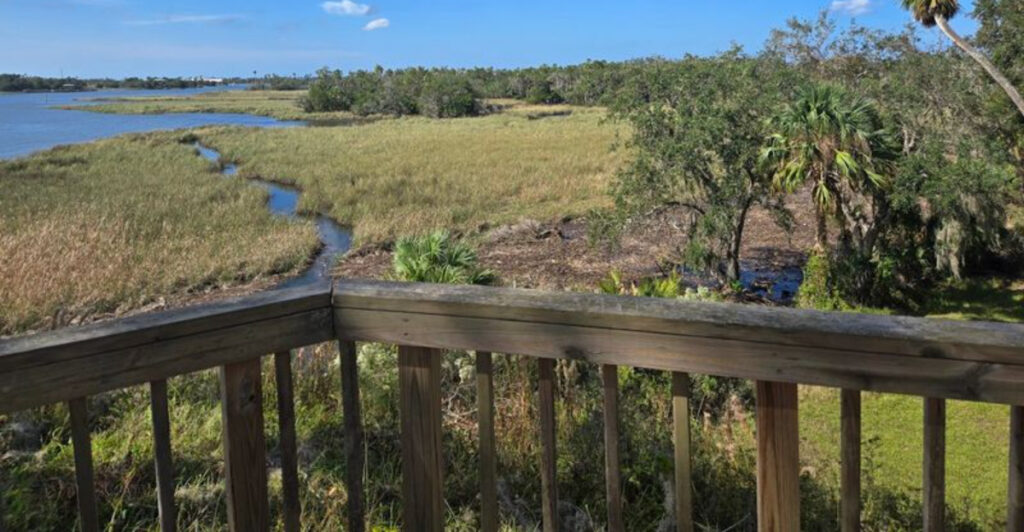 This Short Florida Trail Leads Through a 1,600-Year-Old Native American Village