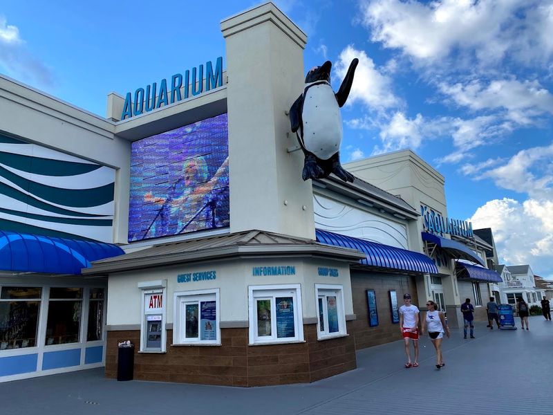 Where to Find It and What to Expect When You Arrive