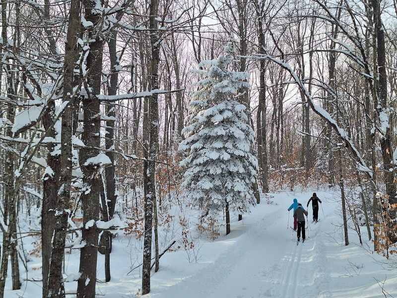 Where the winter story begins