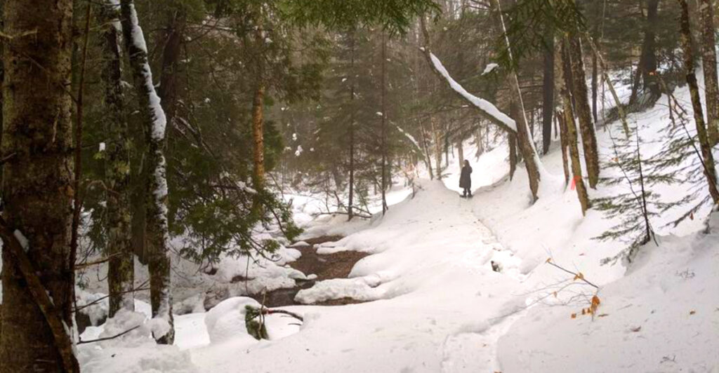 This Snowy Michigan Trail Feels Like a Real-Life Winter Wonderland