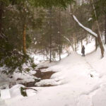 This Snowy Michigan Trail Feels Like a Real-Life Winter Wonderland