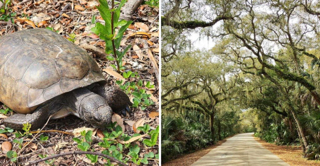 This Stunning Beach Park in St. Augustine Feels Like a Hidden Coastal Paradise