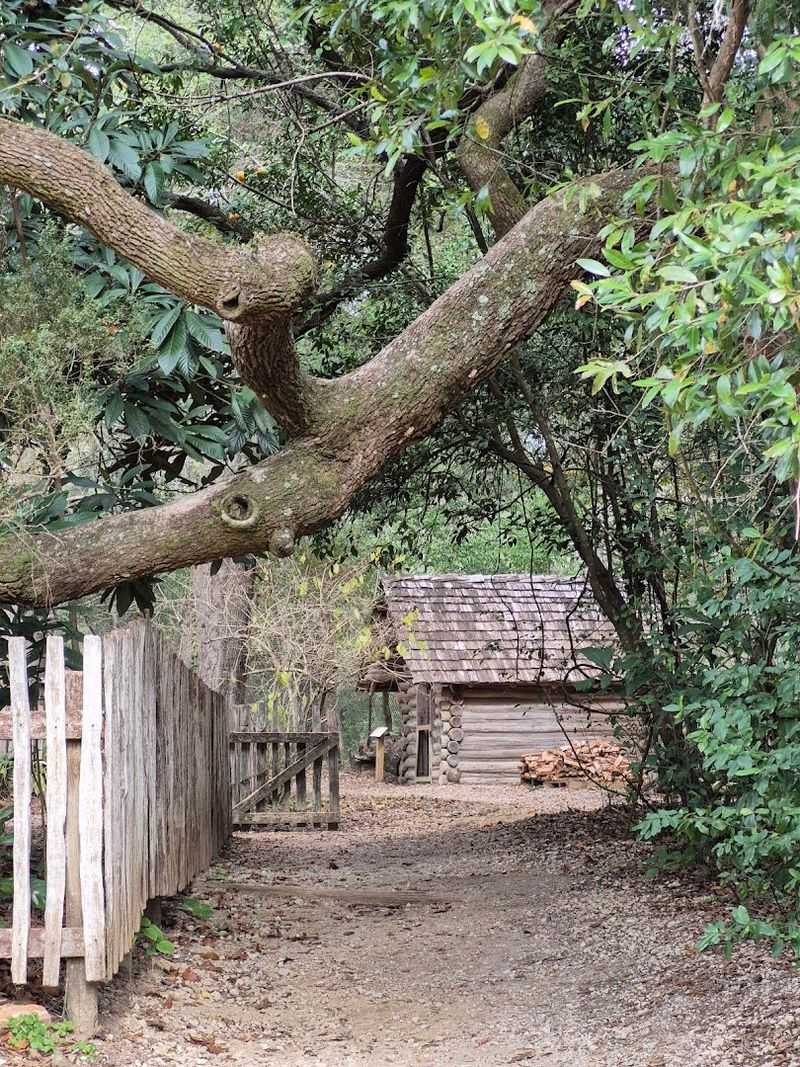 Where It All Begins: Address, Location, and First Impressions