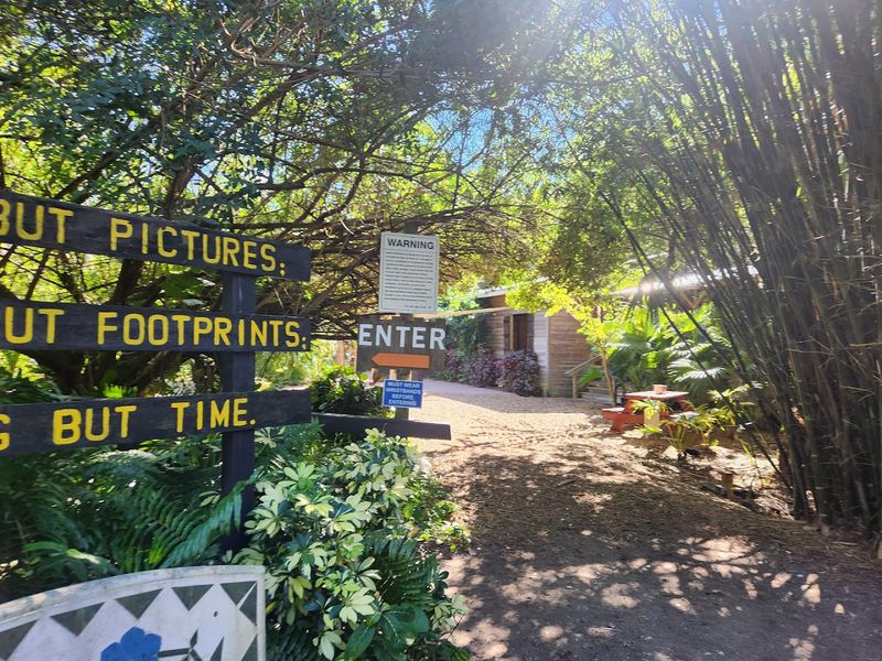 Where the Magic Starts: Address, Location, and First Impressions