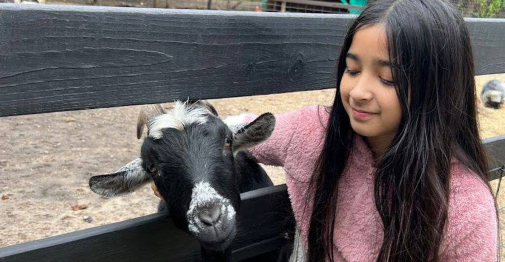 This Tampa Animal Sanctuary Lets Kids Meet Rescued Animals Up Close