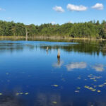 This Underrated County Park Blends Woodland Trails With Fascinating Farm History