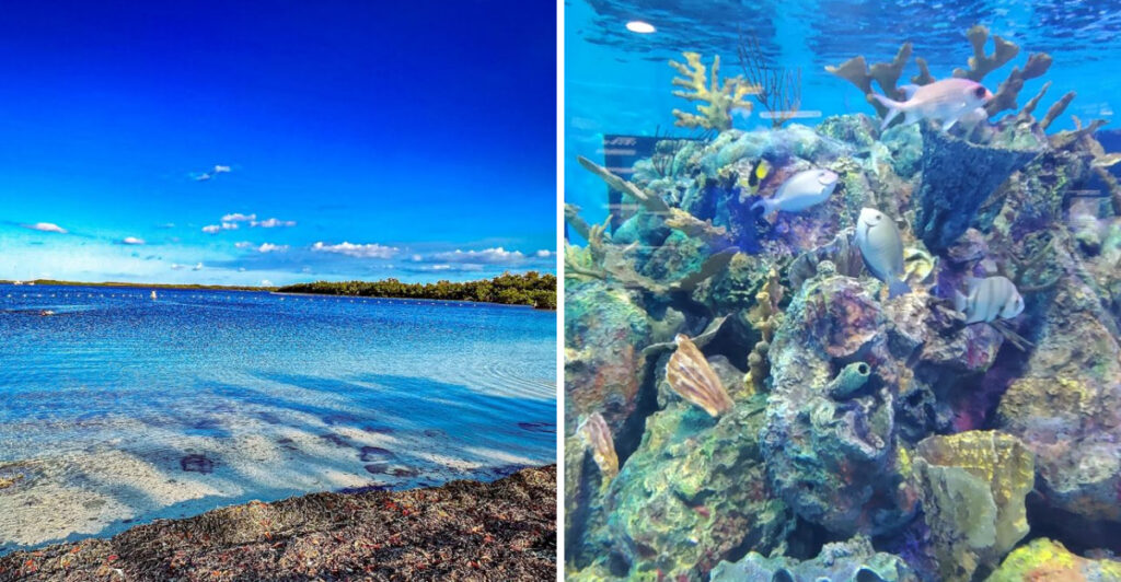 This Underwater Florida State Park Is a Paradise for Snorkelers and Divers