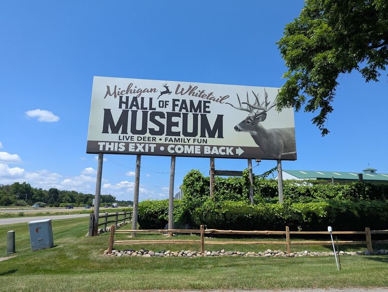 First Look in Grass Lake