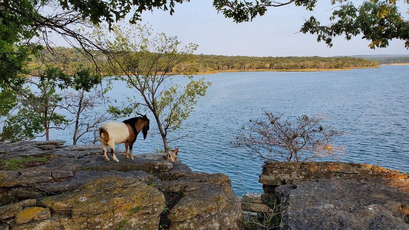 Where Exactly This Island Sits on the Map