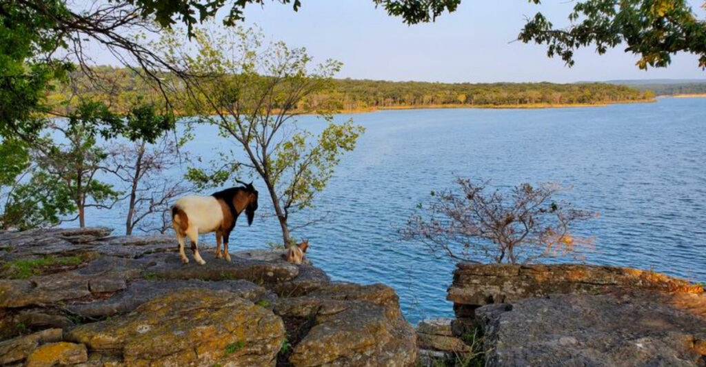 This Unique Oklahoma Island Is Unlike Anything You’ve Seen