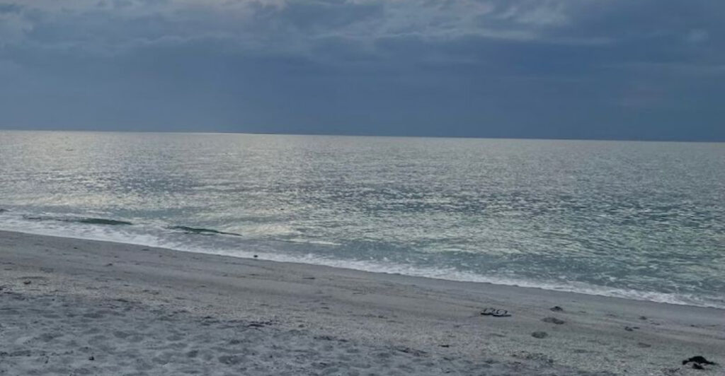 This Untouched Florida Island Park Offers Secluded Beaches, Wild Shelling, and Pure Old-Florida Escape