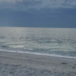 This Untouched Florida Island Park Offers Secluded Beaches, Wild Shelling, and Pure Old-Florida Escape