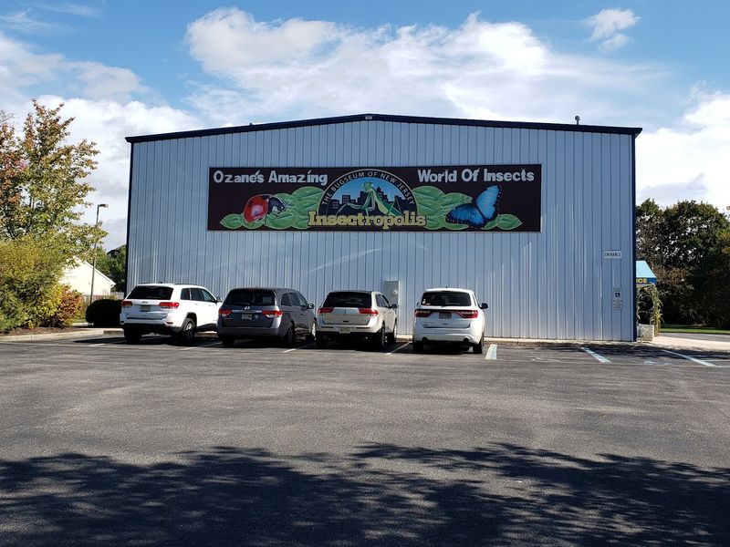 Where Exactly This Bug Museum Lives