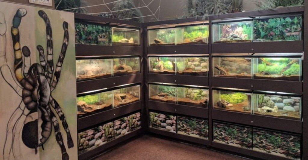 This Weird Little Toms River Museum Is Crawling With Surprises