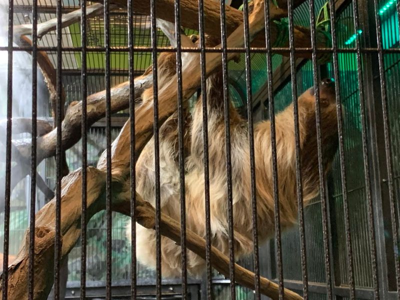 Where It All Begins: Address and First Impressions