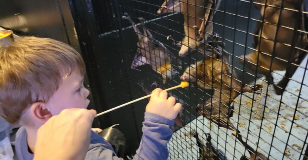 This Wild Animal Experience in New Jersey Let’s You Feed the Bats