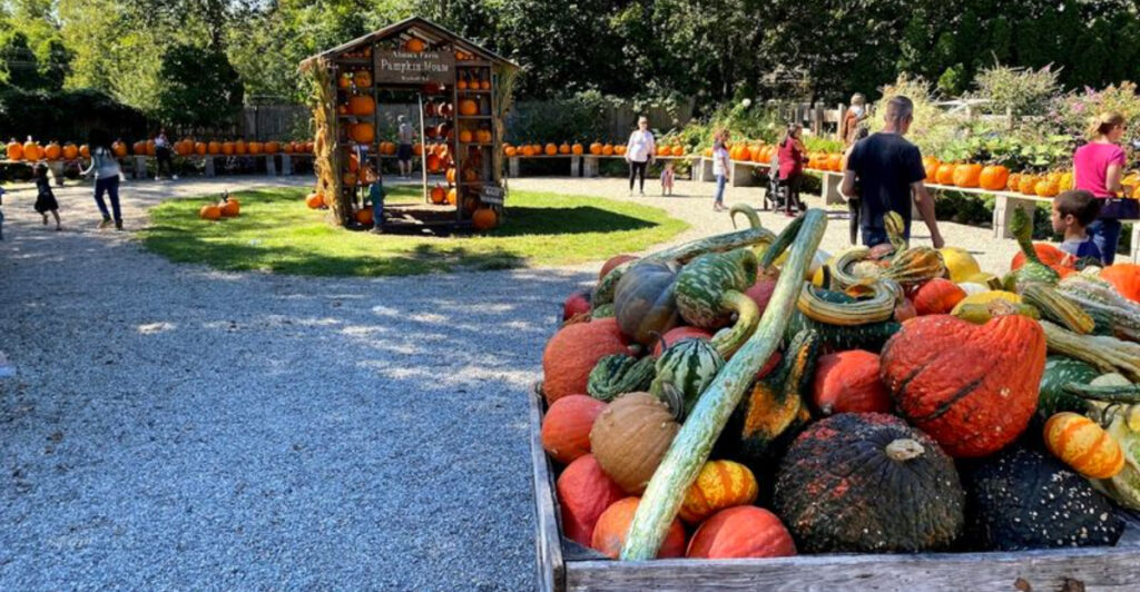 This Wyckoff Hidden Gem Is a Dream Day Out for Kids, Plant Lovers, and Foodies