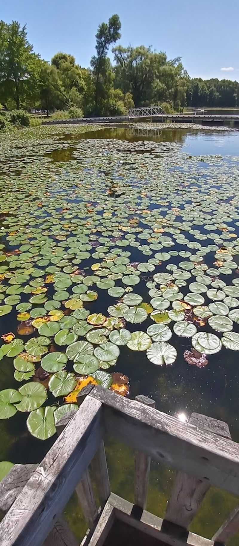 A nature center that adds real depth