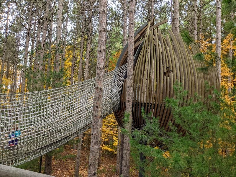 Views that change by the step