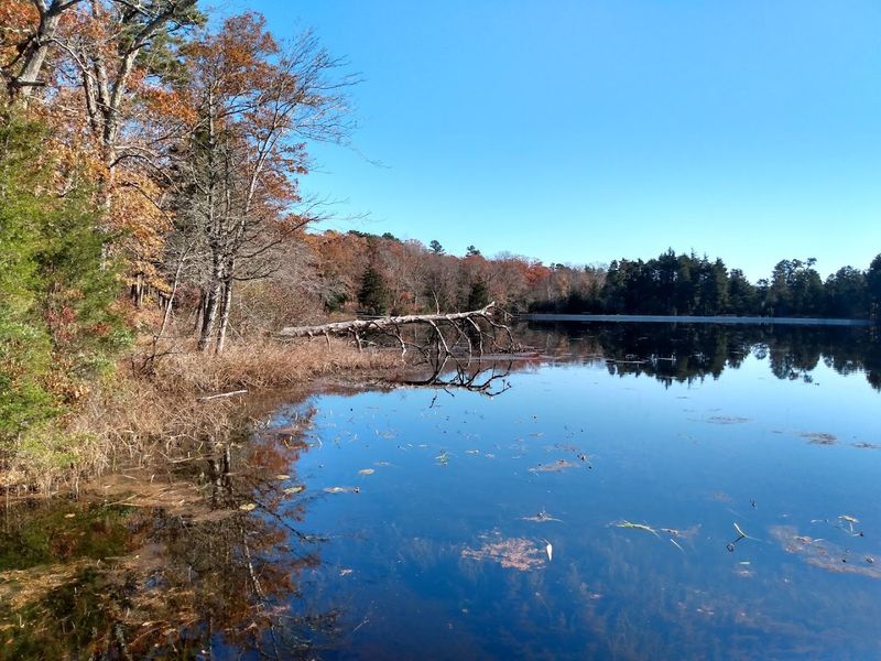 Seasonal Changes and the Best Times to Visit