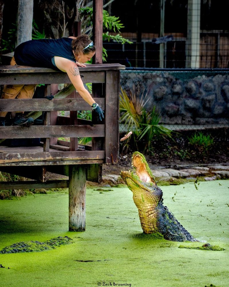 Who the Park Is Best For: Matching the Experience to the Visitor