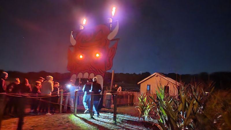 Crowd Management: What to Expect on Busy Nights