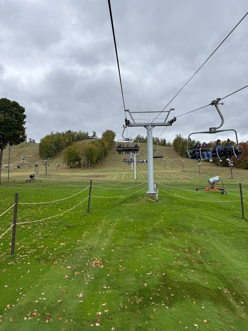 Operating Hours and the Best Days to Visit