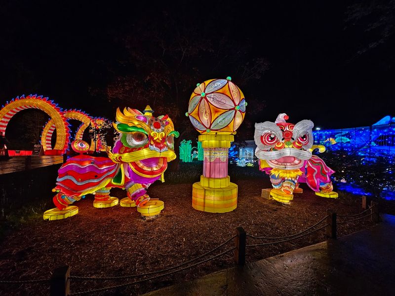 The zoo looks different when the animals sleep