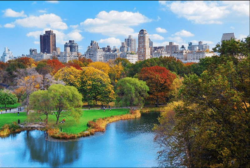 Central Park (New York, NY)