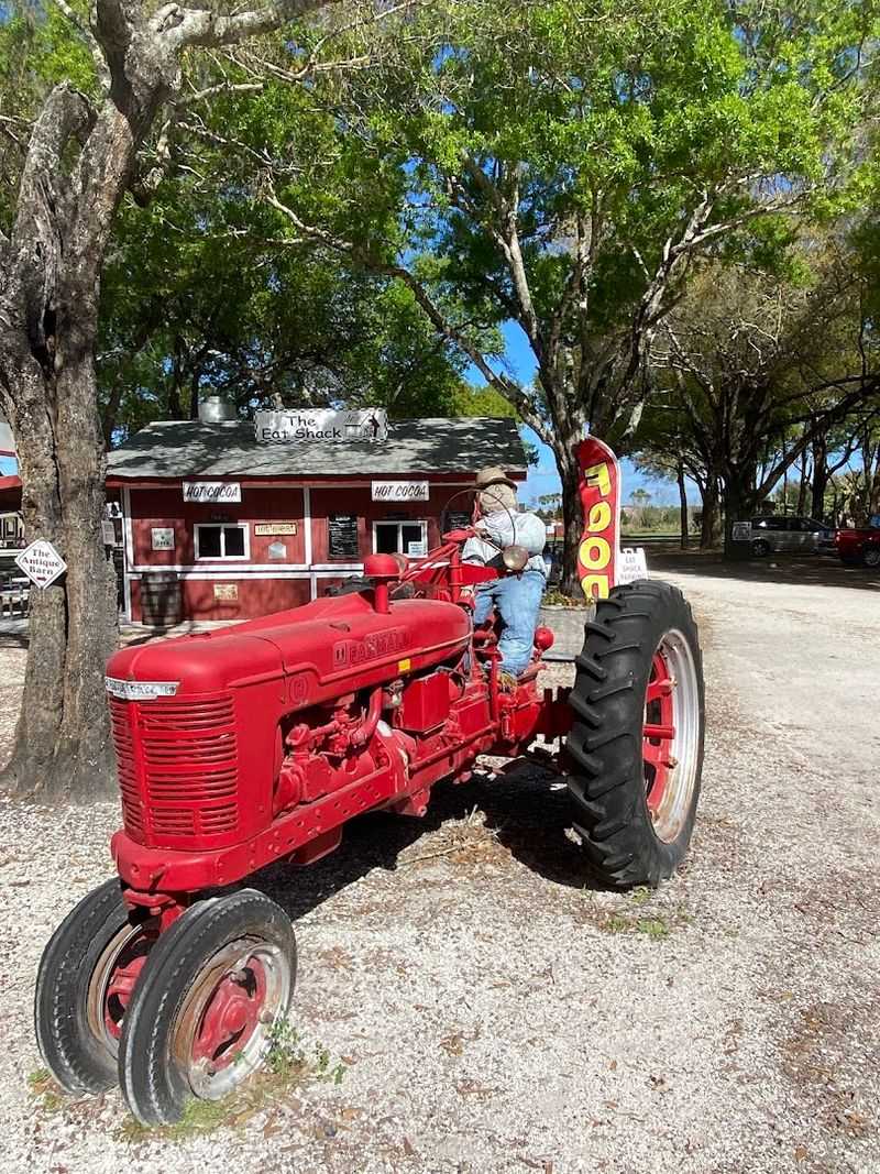 Hayrides, Train Rides, and Pony Rides