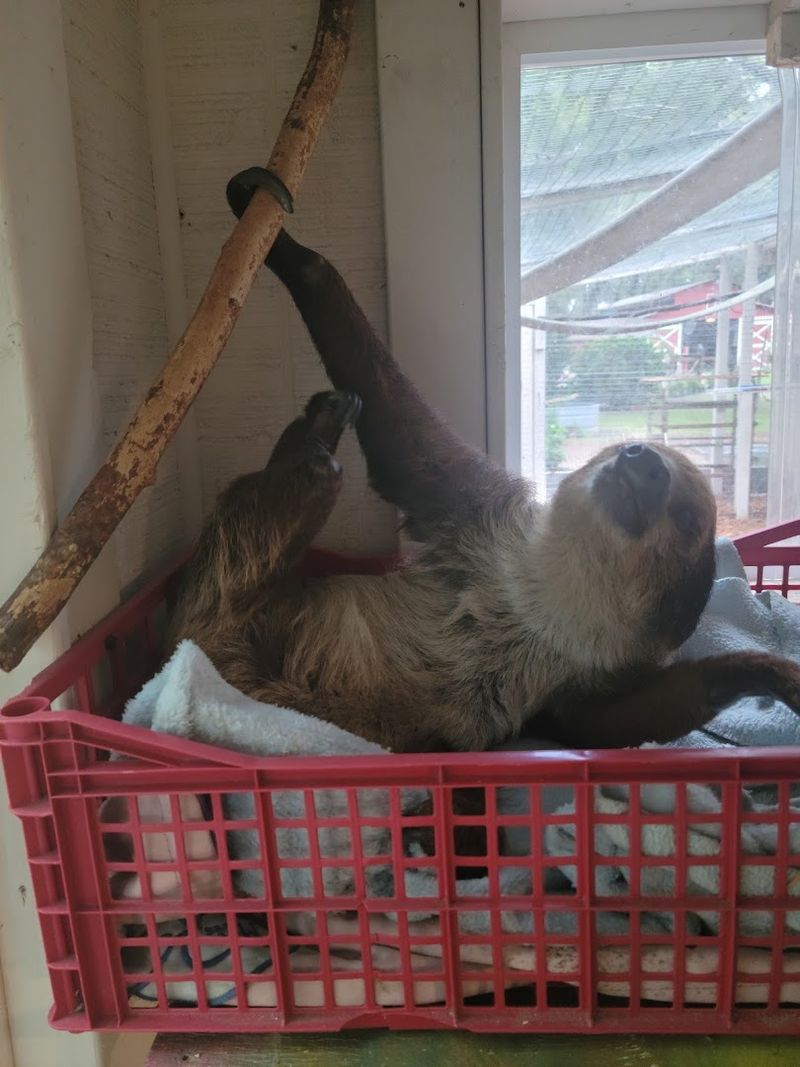 Why This Place Is Worth the Drive