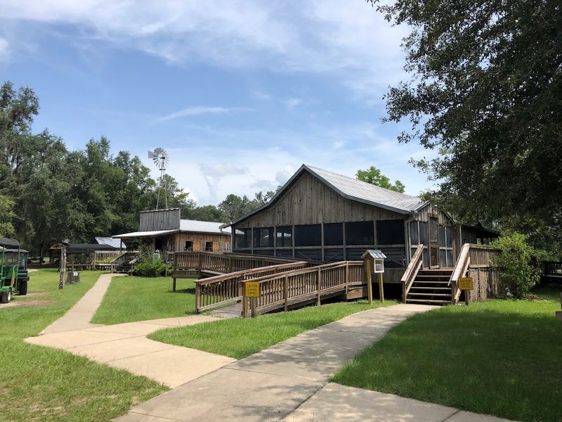 Accessibility Features That Make the Park Work for Everyone