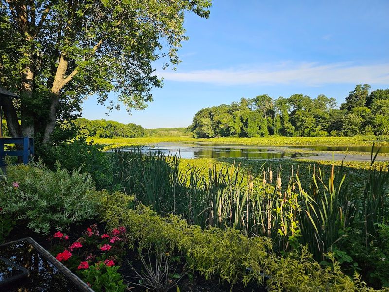 Getting There From the Shore and Beyond