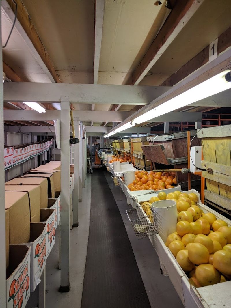 How the Fruit Tastes Compared to Store-Bought